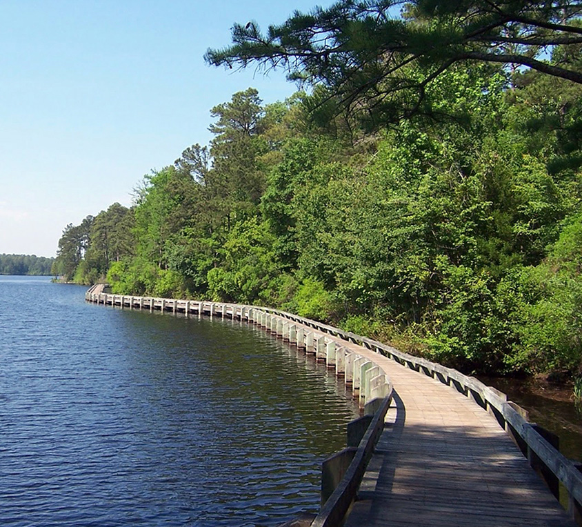 Lake Juniper Boardwalk